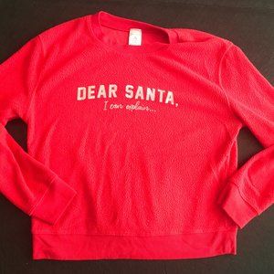Dear Santa, I can explain Sweater